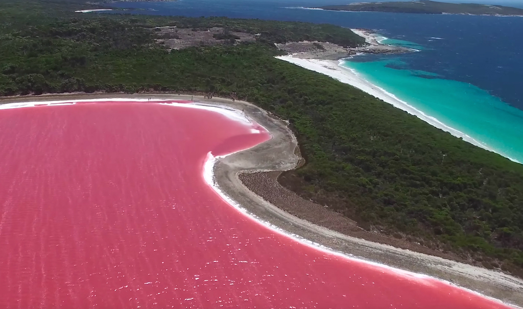 Pink Lake Hillier in Western Australia